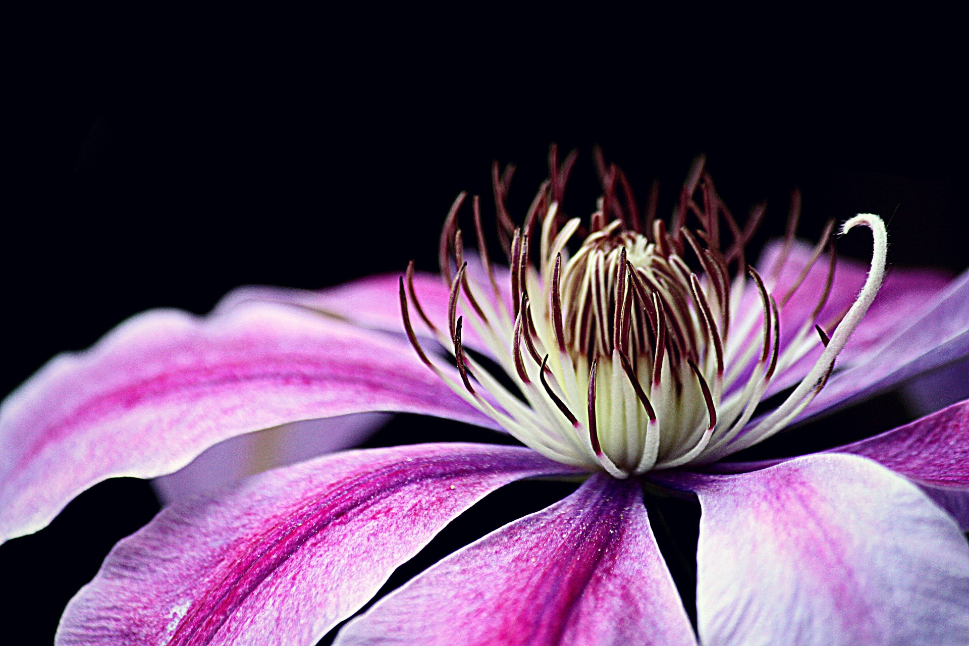Drevesnica | Plant Garden
